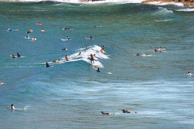 Surfing in the Freshwater Beach